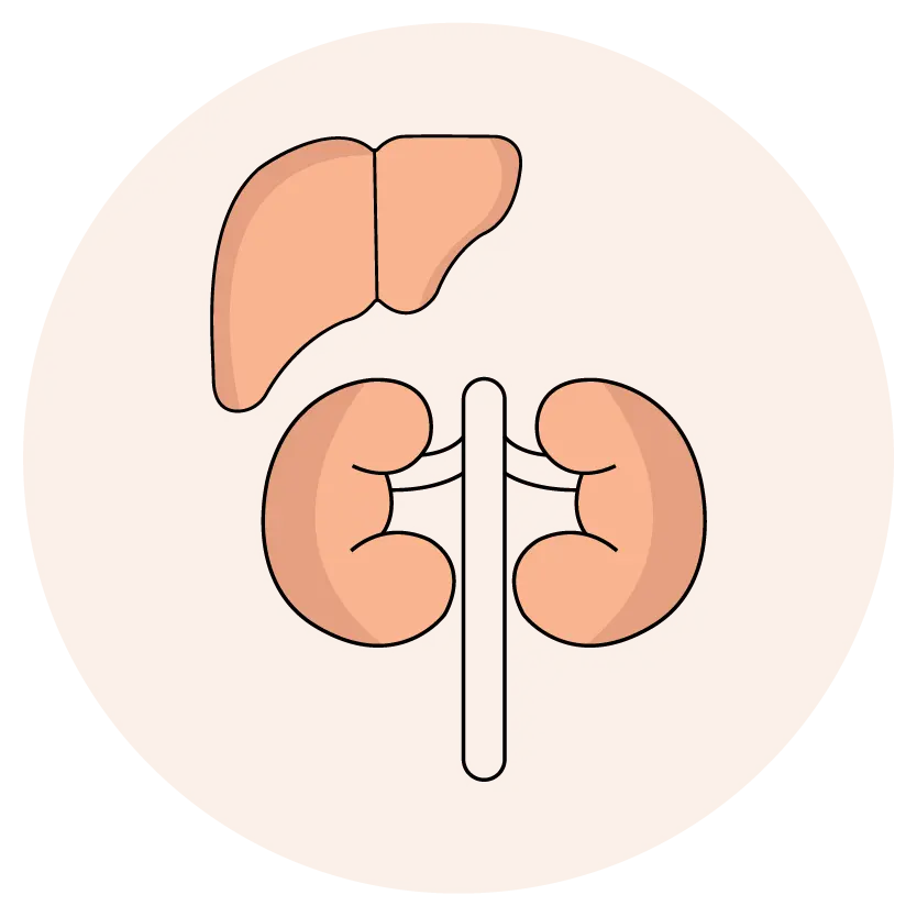 Kidney - Liver Function & C-Reactive Protein - Men & Women